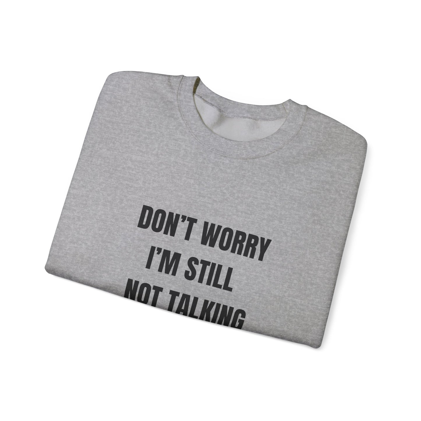 Funny Crewneck Heavy-Weight Sweatshirt - Don't Worry I'm Still Not Talking About You
