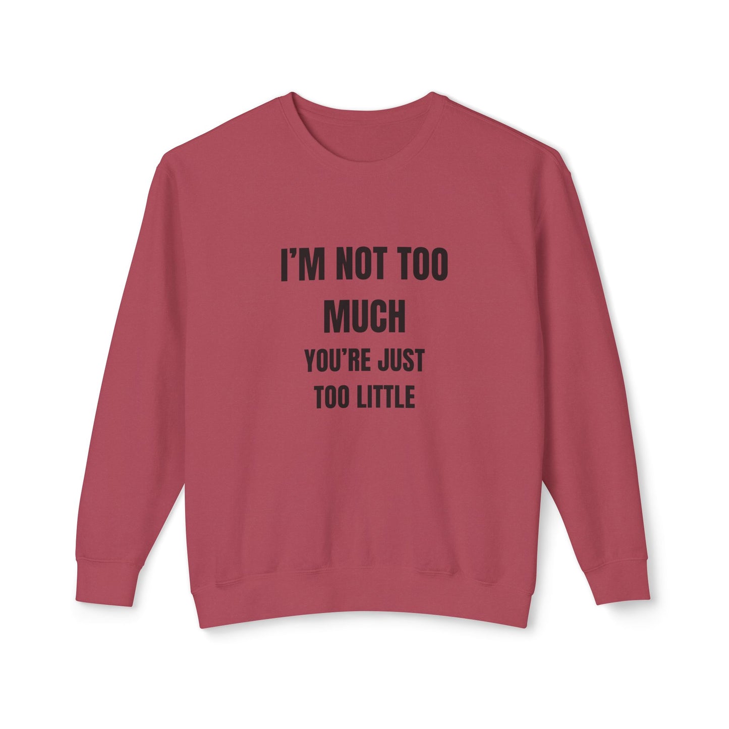 Adult Humor Heavy Weight Sweater - Fun Size F*CK BOYS
