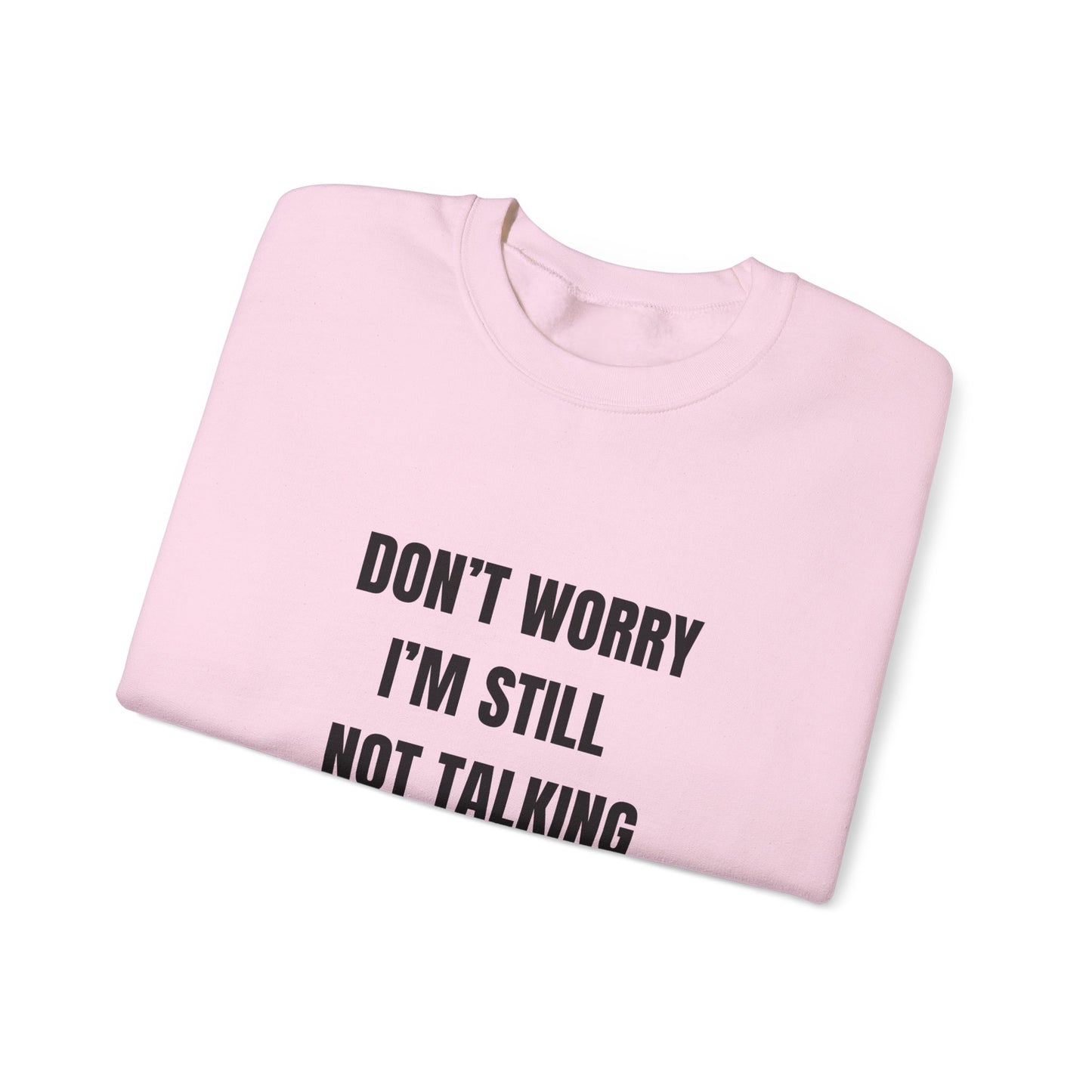 Funny Crewneck Heavy-Weight Sweatshirt - Don't Worry I'm Still Not Talking About You