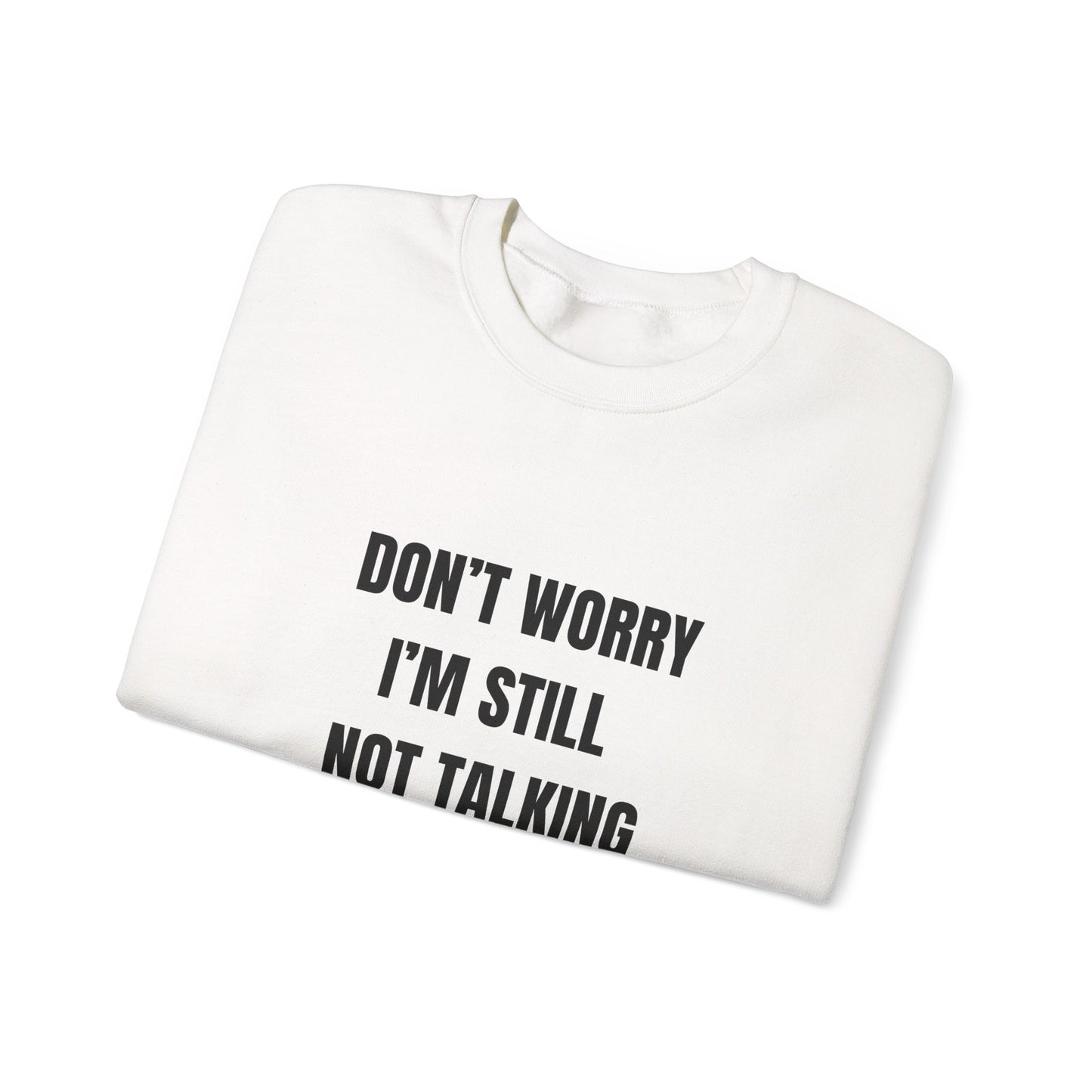 Funny Crewneck Heavy-Weight Sweatshirt - Don't Worry I'm Still Not Talking About You