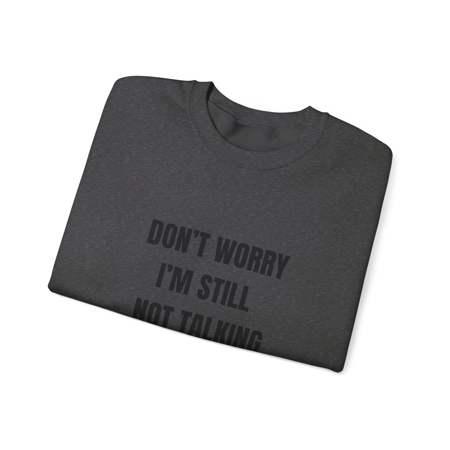 Funny Crewneck Heavy-Weight Sweatshirt - Don't Worry I'm Still Not Talking About You